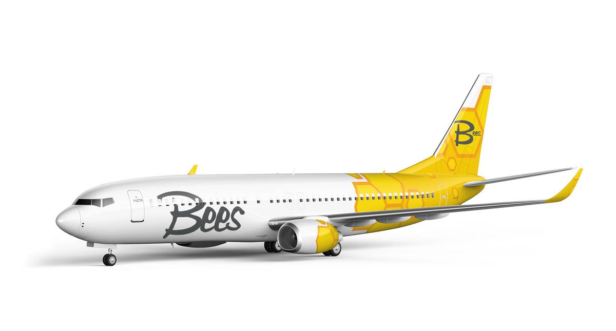Airline Startup - Bees Takes On Ryanair's Buzz In Eastern Europe
