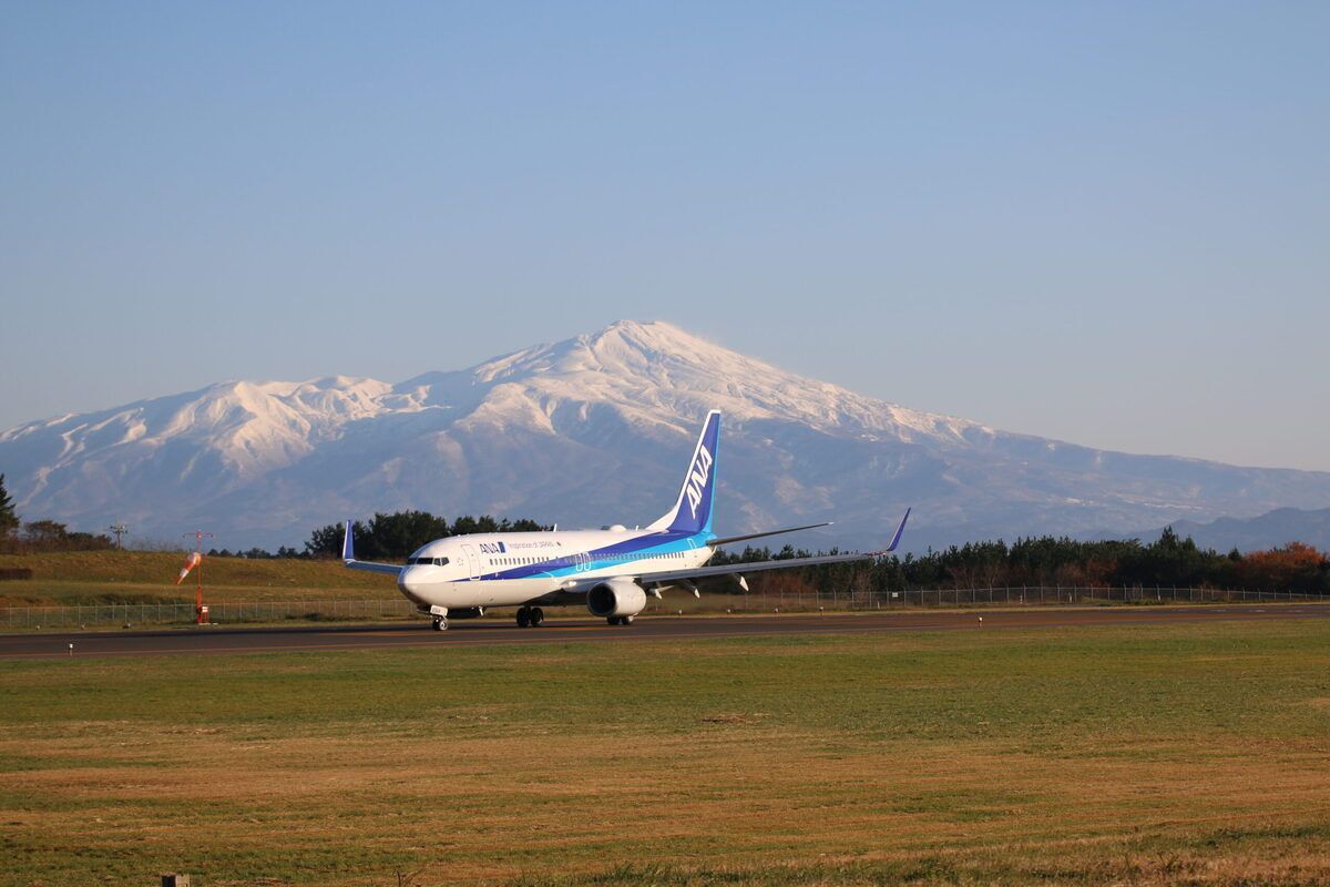 Japan's All Nippon Airways Signs Up To Net Zero Emissions By 2050