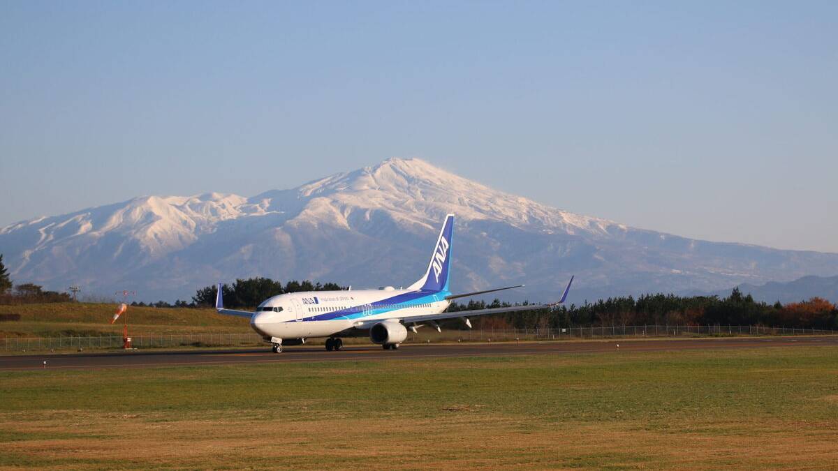 Japan's All Nippon Airways Signs Up To Net Zero Emissions By 2050