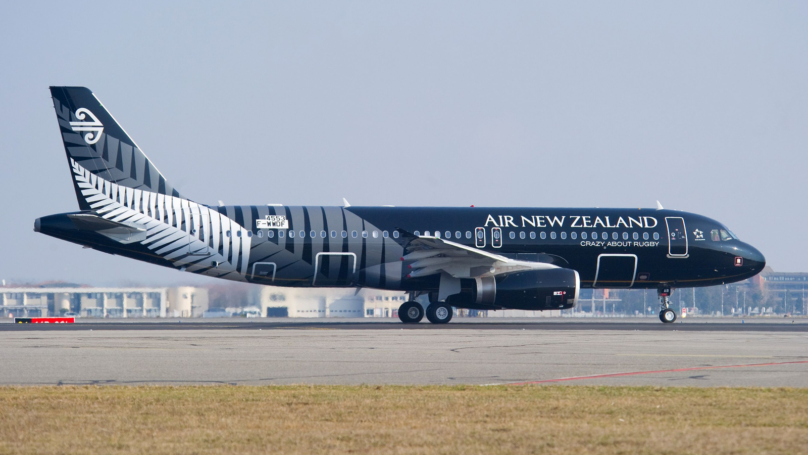 Why is Air New Zealand Really Flying To Tasmania