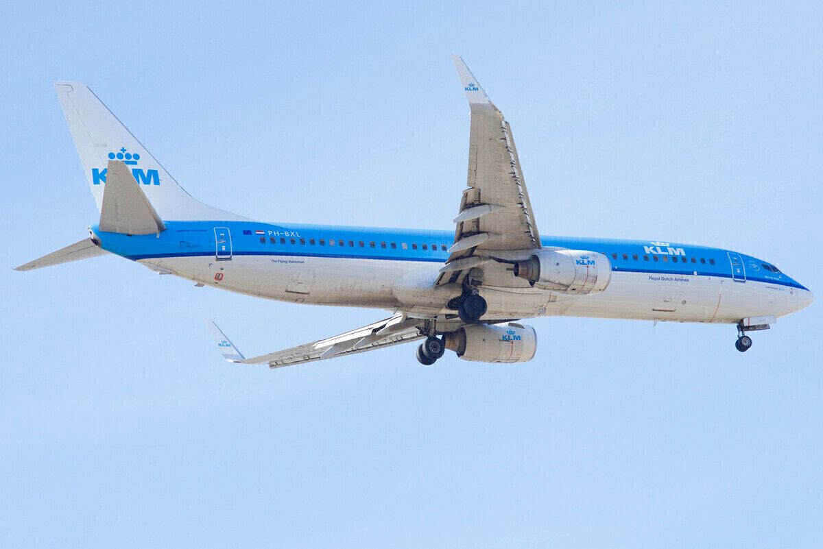 - Features - 737-800 Boeing KLM New B737-800（PACMIN製） KLM Infinite Community Flight 航空機・ヘリコプター