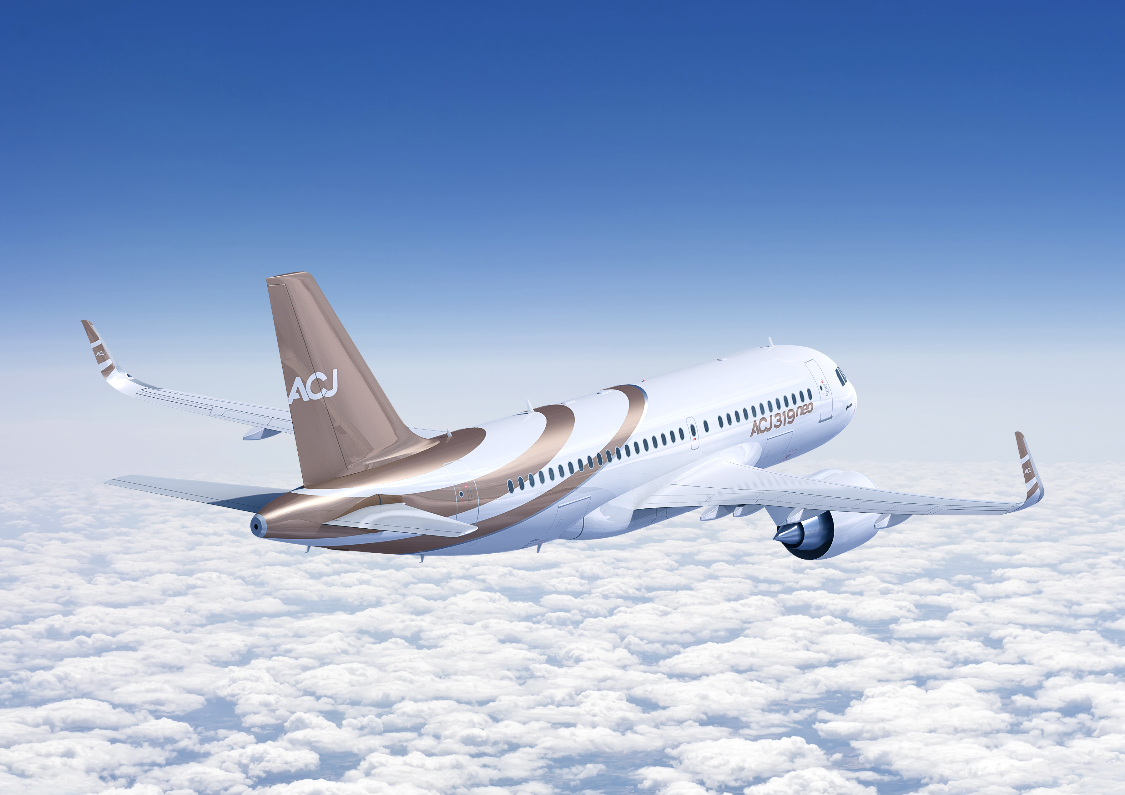 Unknown Buyer Places ACJ319neo Private Jet Order