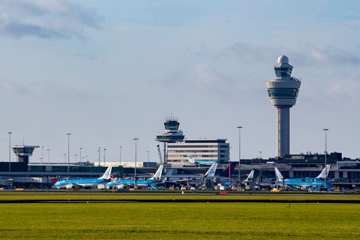 Wow: Amsterdam Schiphol Airport To Use Construction Panels Made From Its Grass