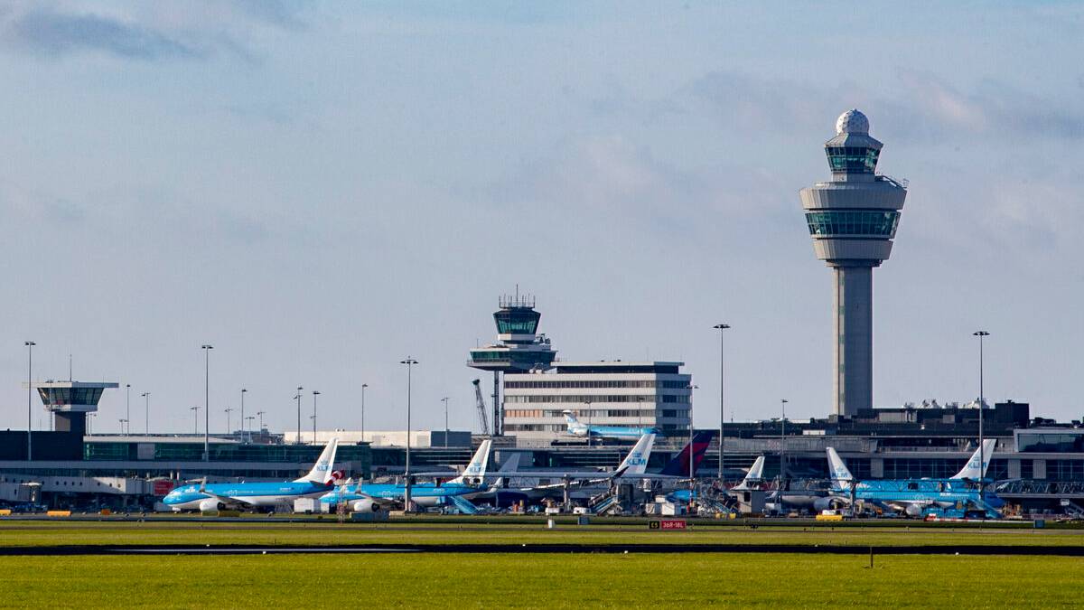Wow: Amsterdam Schiphol Airport To Use Construction Panels Made From Its Grass