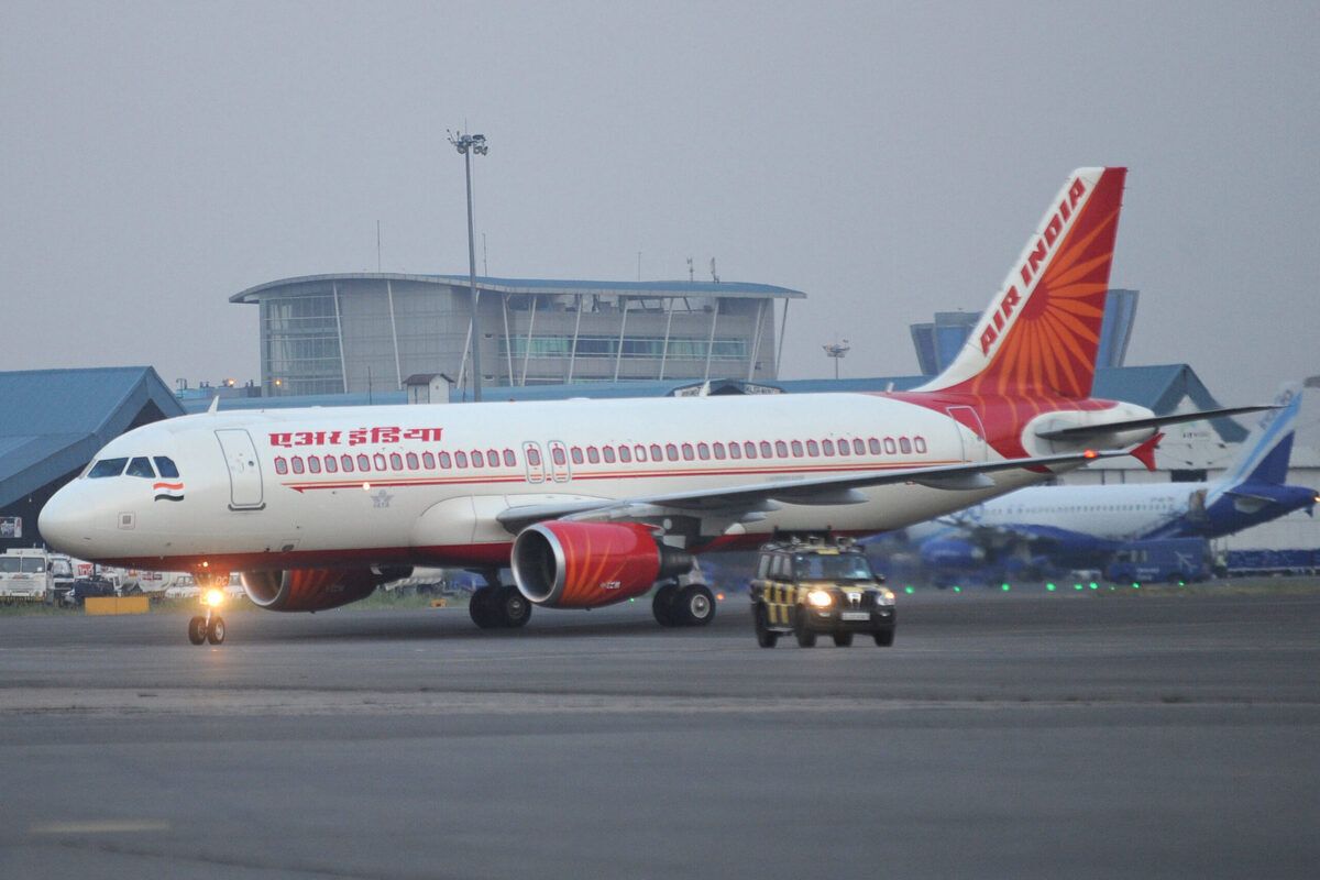 CATastrophe: Missing Pet Sparks Search At Kolkata Airport