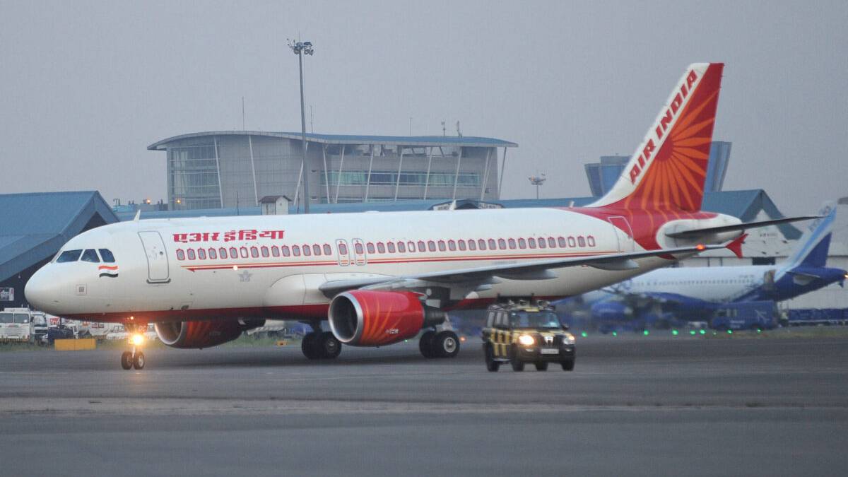 CATastrophe: Missing Pet Sparks Search At Kolkata Airport
