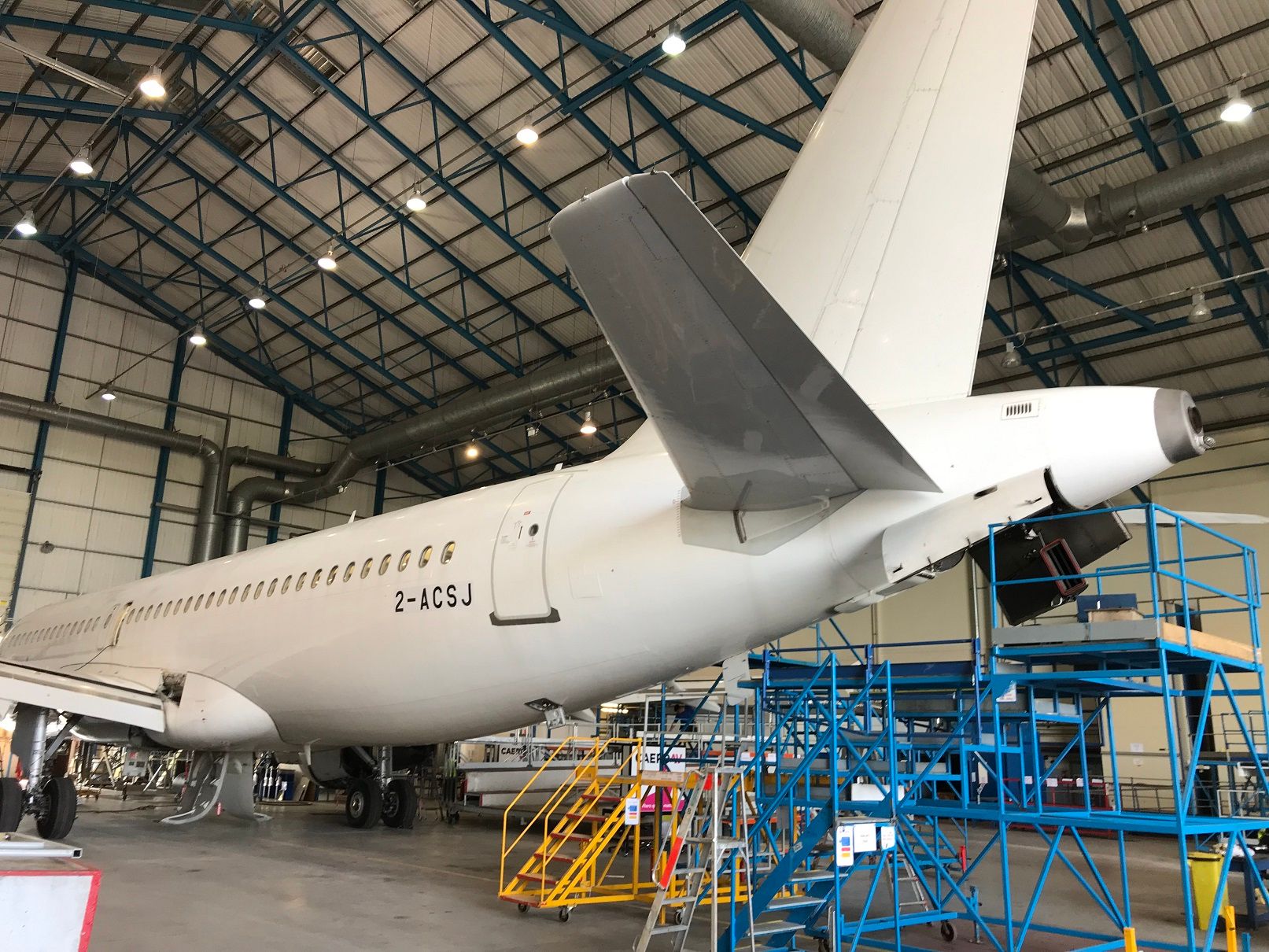Young Kestrels Found In Airbus A320 APU In Wales