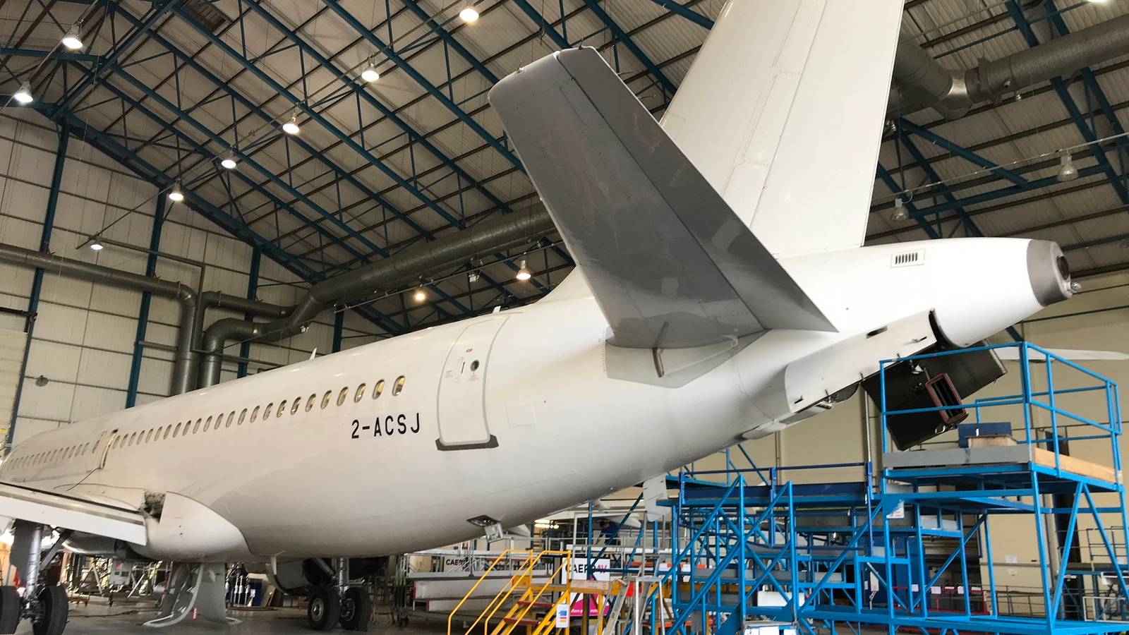 Young Kestrels Found In Airbus A320 APU In Wales