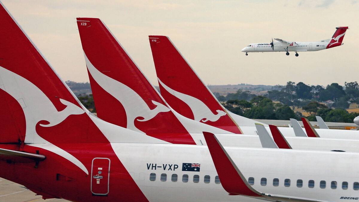 Australia Is Close To Allowing Pets In The Aircraft Cabin