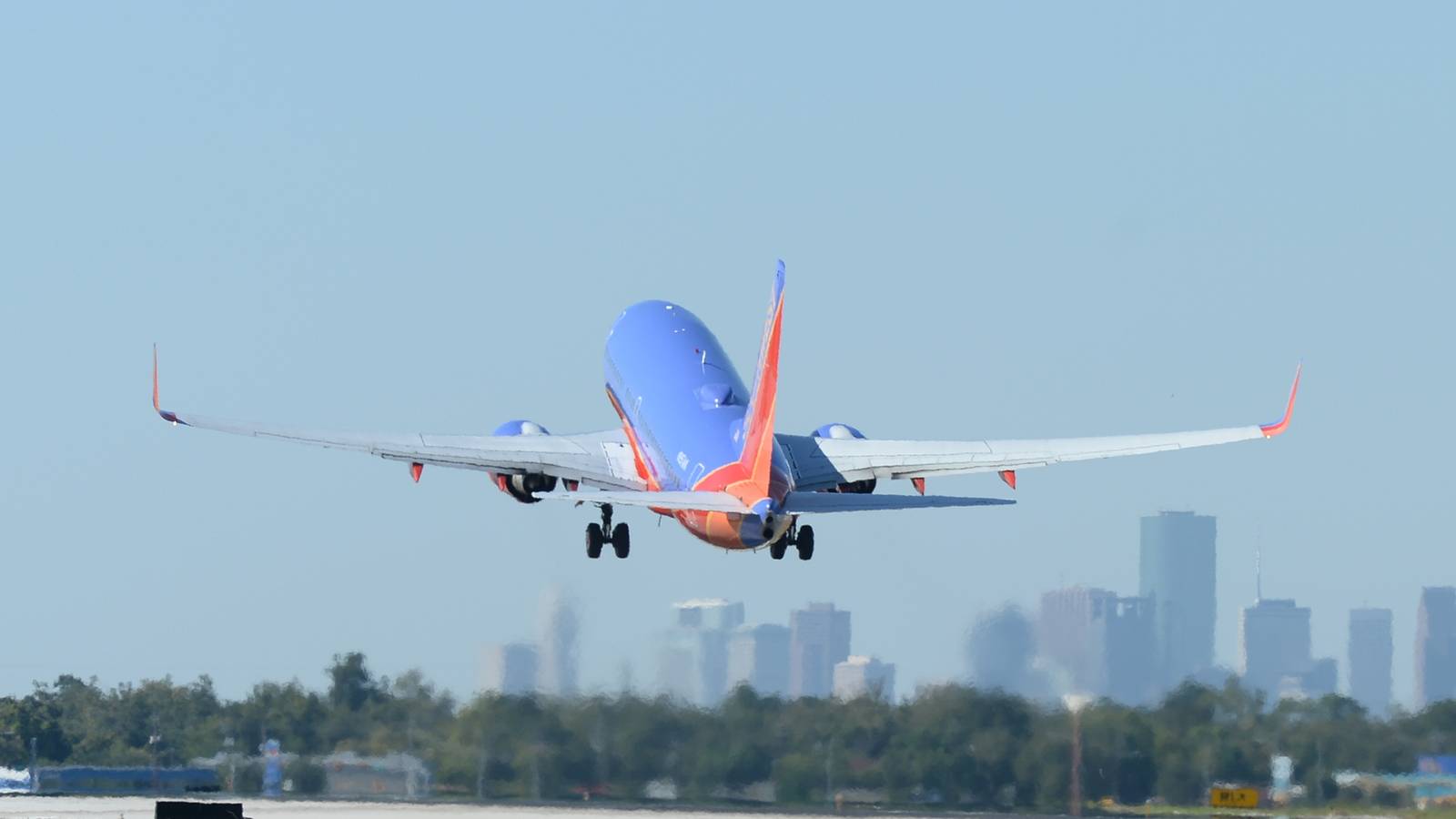 Interesting Passenger: Bald Eagle Hitches A Ride On Southwest