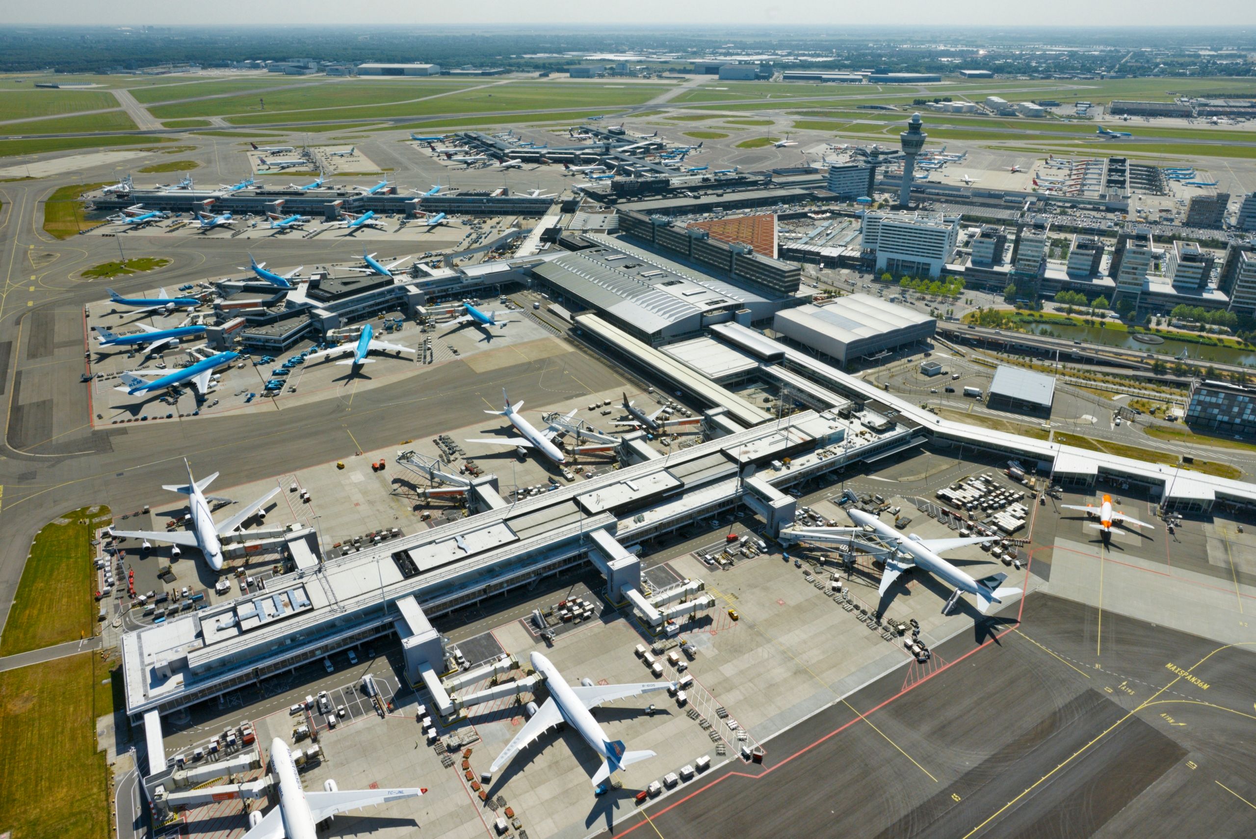 How Amsterdam Schipol Reduced Toilet Cleaning Costs By 8% With Fake Urinal Bugs