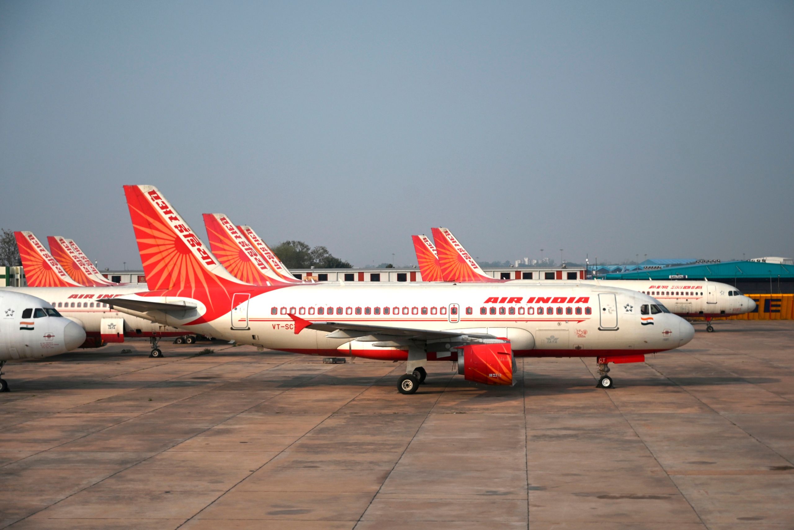 Special Cargo: Air India Flies 63 Rare Turtles For Release To The Wild