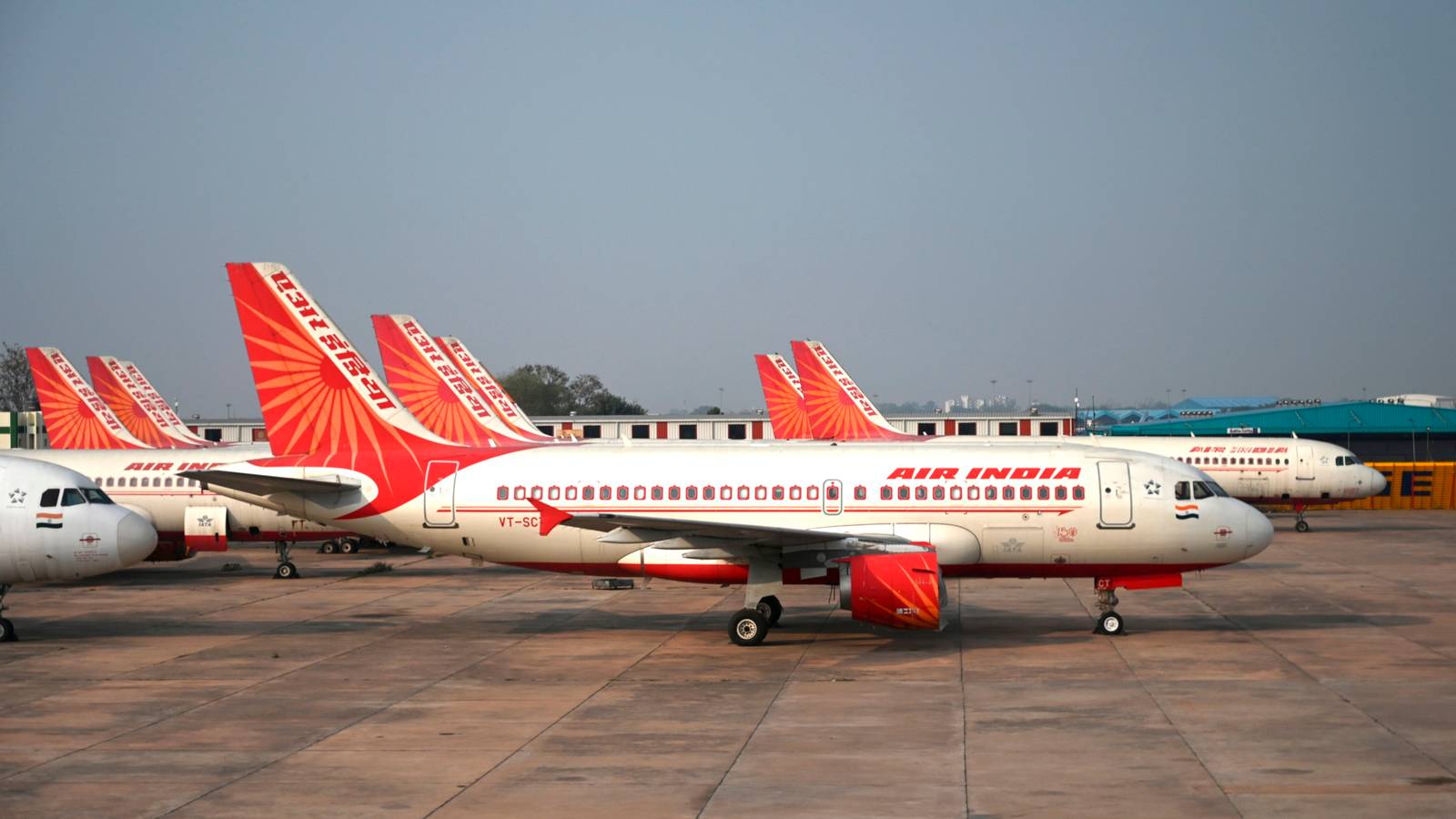 Special Cargo: Air India Flies 63 Rare Turtles For Release To The Wild