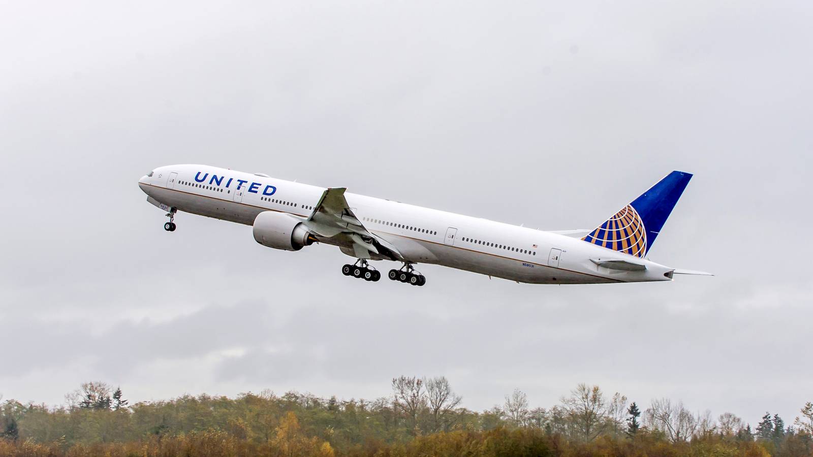Afghanistan Evacuation Flights Cause Backups At Dulles International Airport