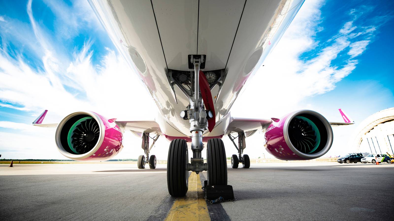 Wizz Air's CEO Slams Carbon Offsetting Despite Offering It