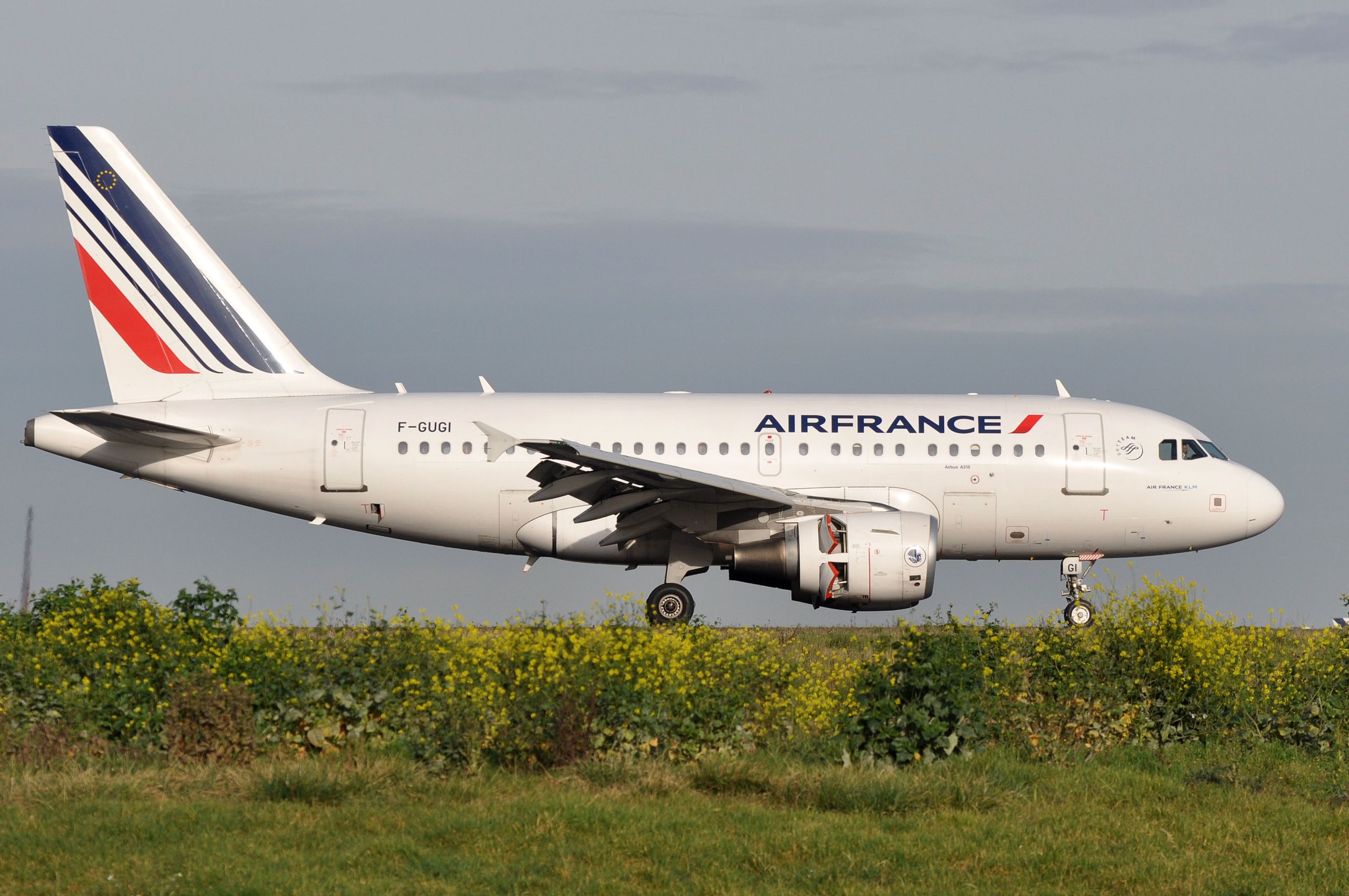 Not Dead Yet: The Slow Decline of the Airbus A318 ‘Baby Bus'