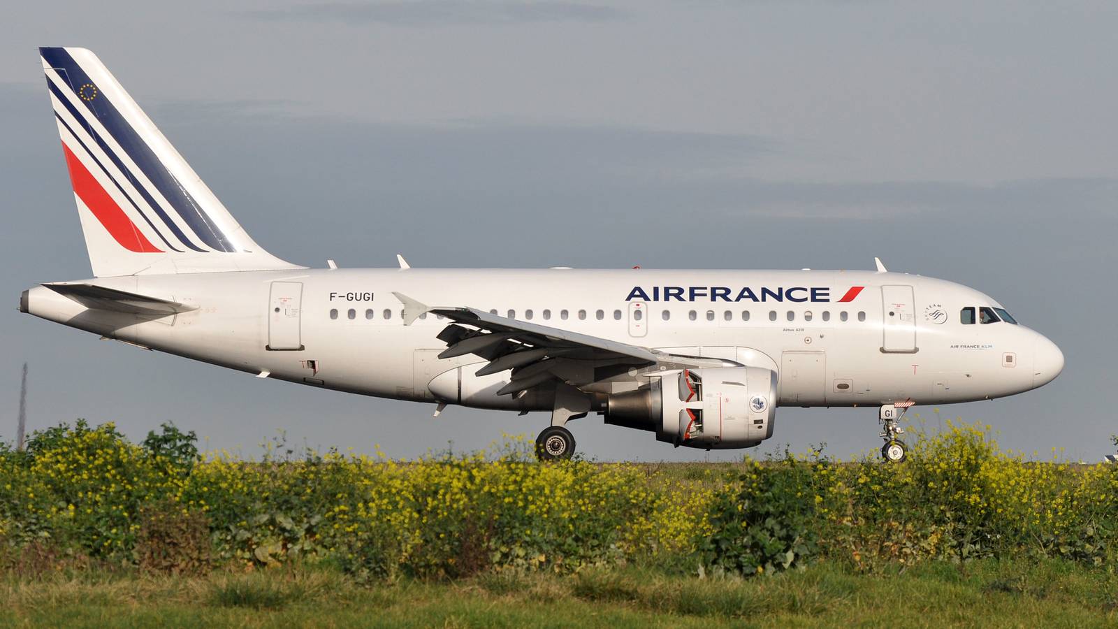 Not Dead Yet: The Slow Decline of the Airbus A318 ‘Baby Bus'