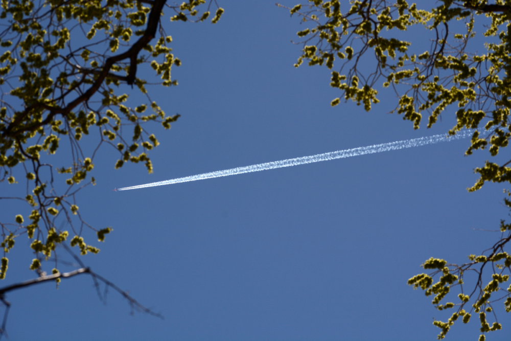 Could Engineered Microbes Reduce Airline Emissions?