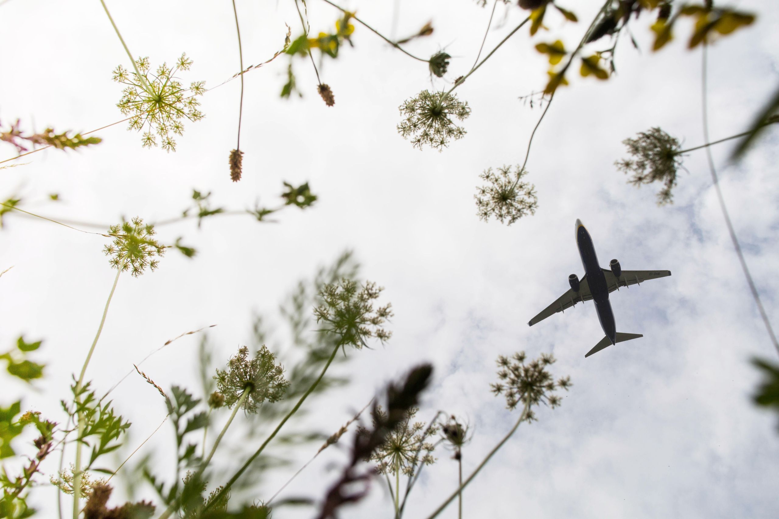 What Is Aviation's Place In A Sustainable Future?