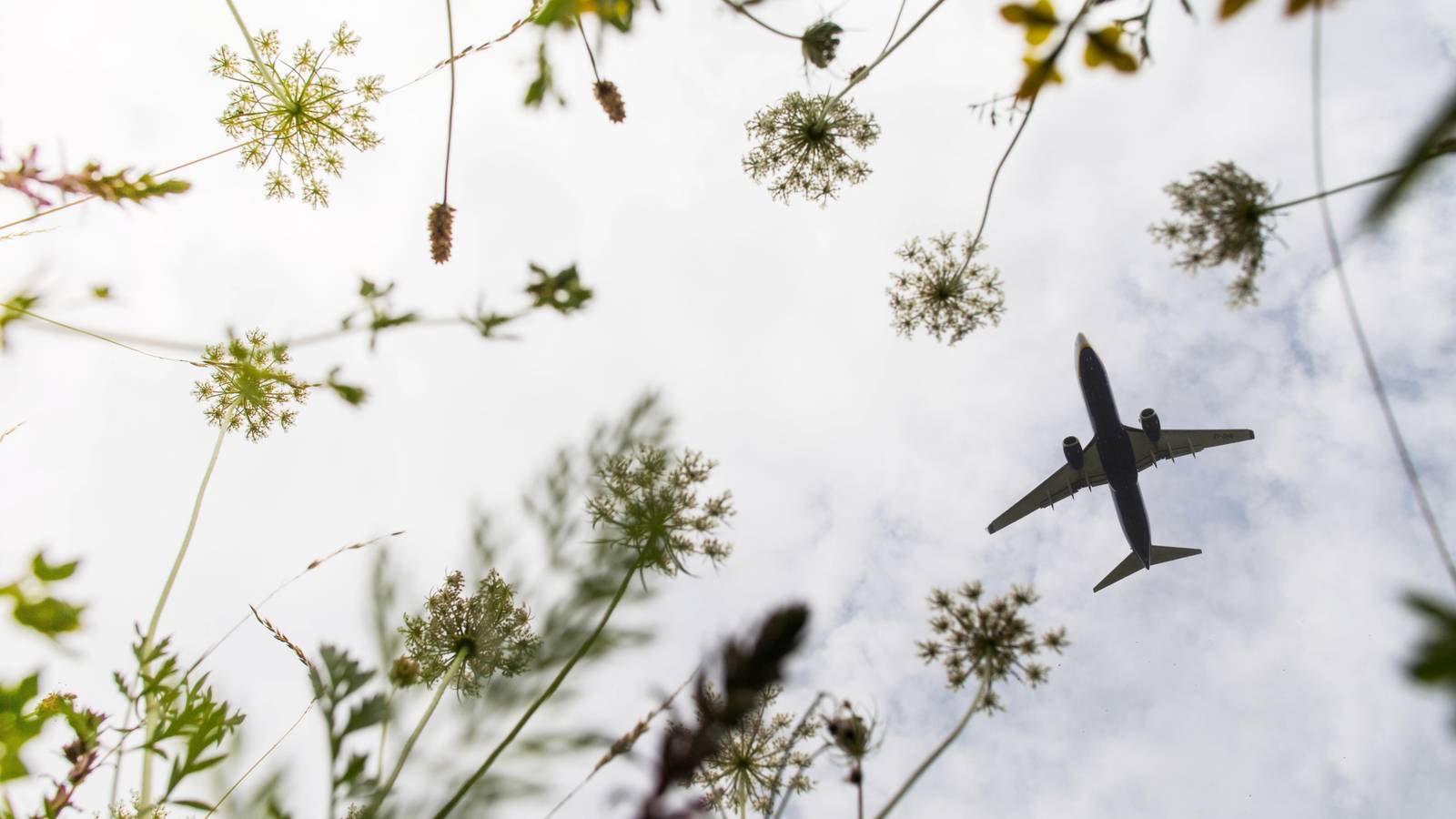 What Is Aviation's Place In A Sustainable Future?