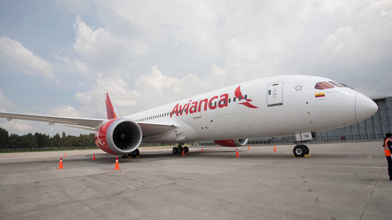 Could Avianca And Sky Airline Be Planning A Merger?