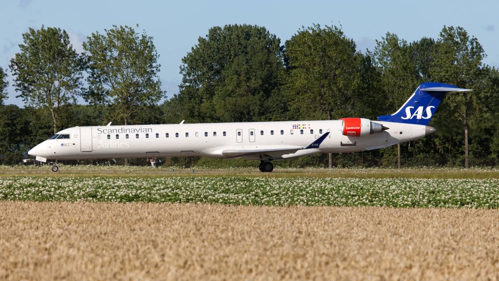 CityJet Eyes Fleet Expansion For Post COVID-19 Recovery