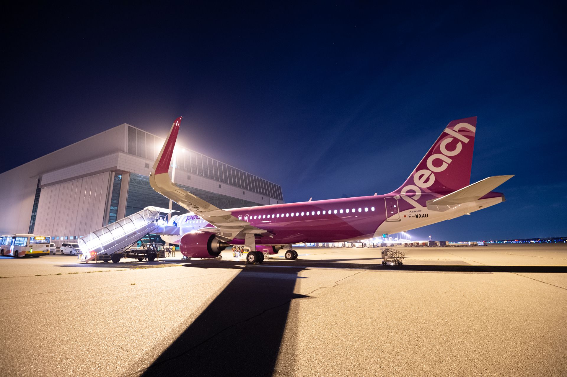 Peach Sells Unlimited Japanese Flight Pass For Just $173