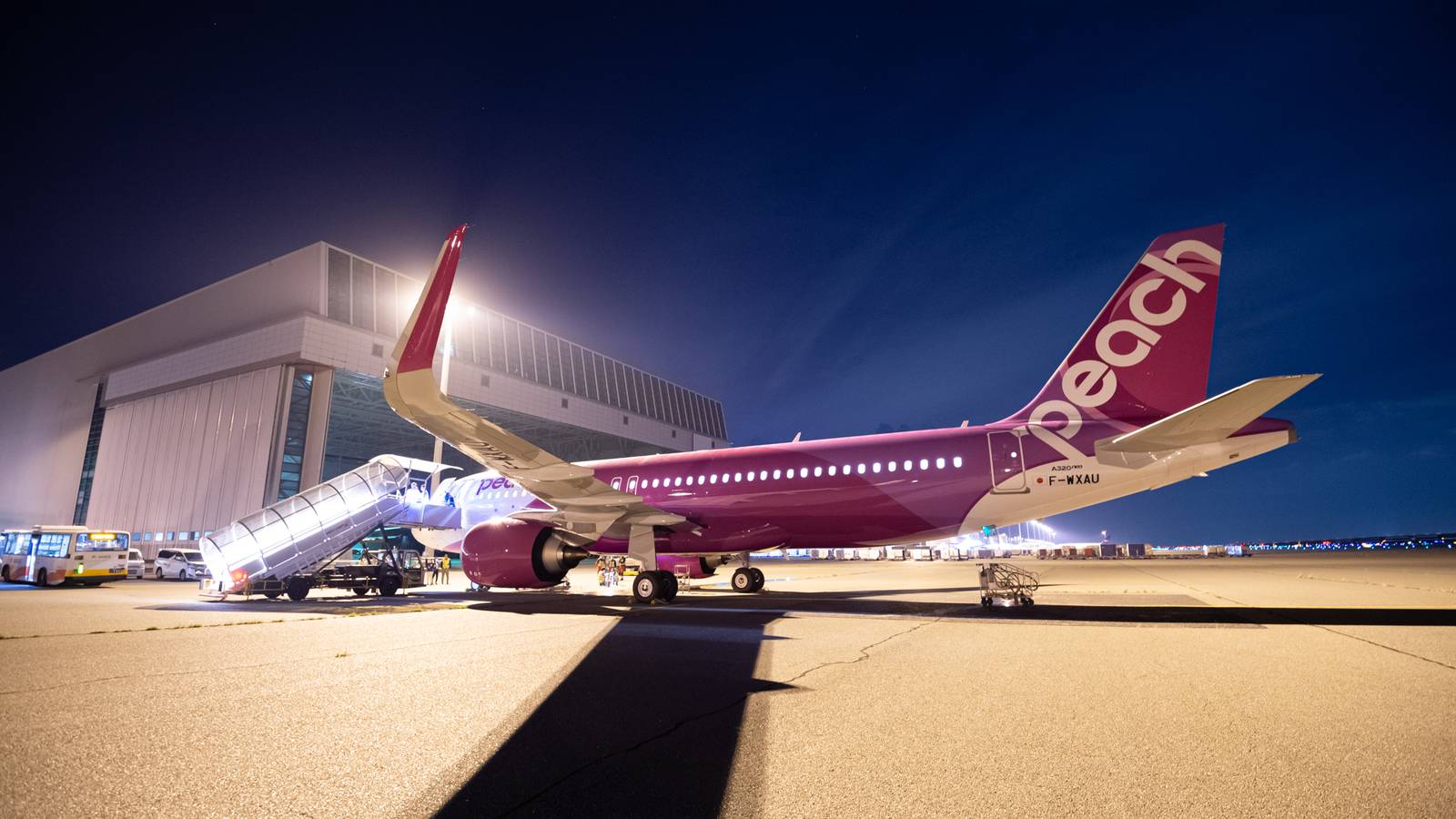 Peach Sells Unlimited Japanese Flight Pass For Just $173