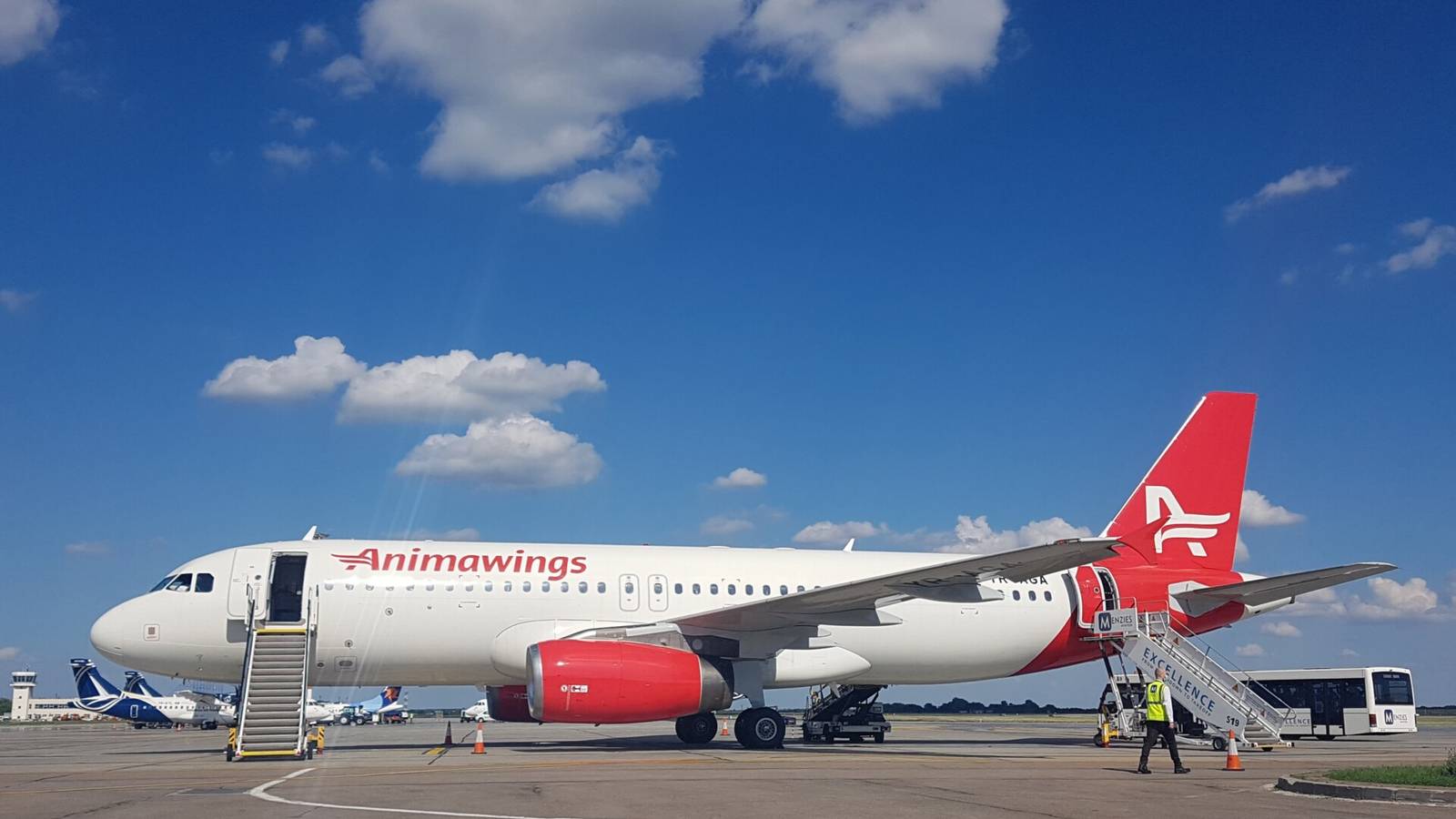 Aegean Airlines Increases Investment In Romania's Animawings