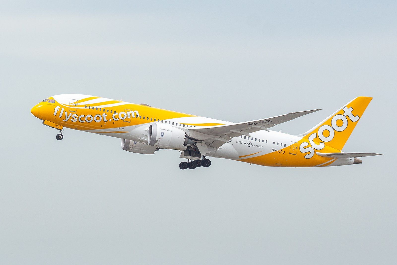 An Early Present: Scoot To Begin 5th Freedom London Gatwick Flights