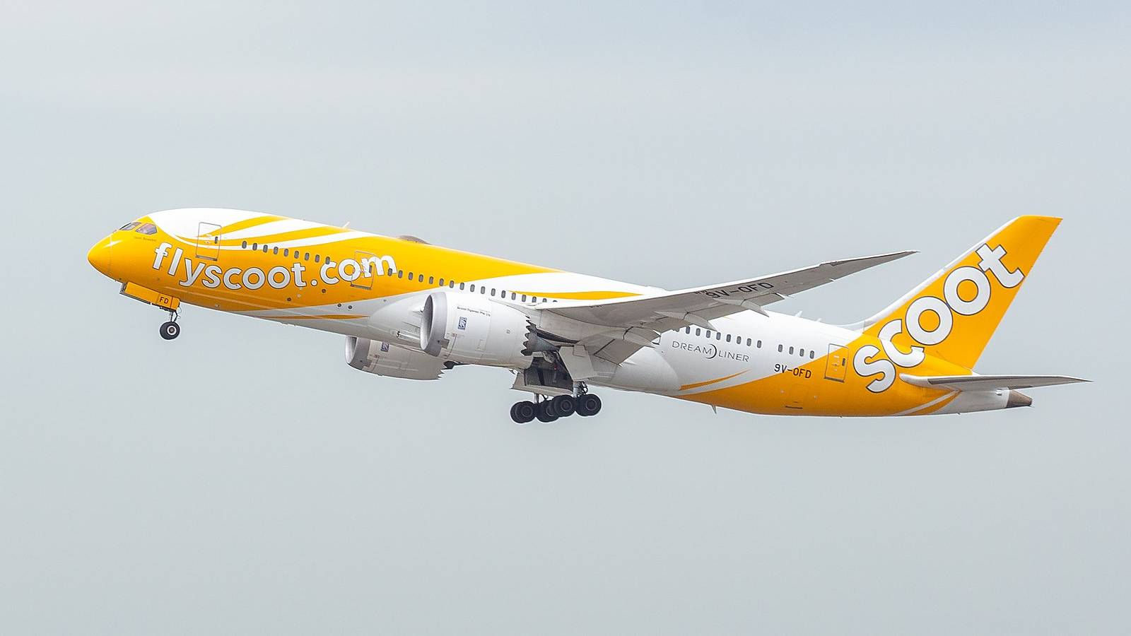 An Early Present: Scoot To Begin 5th Freedom London Gatwick Flights