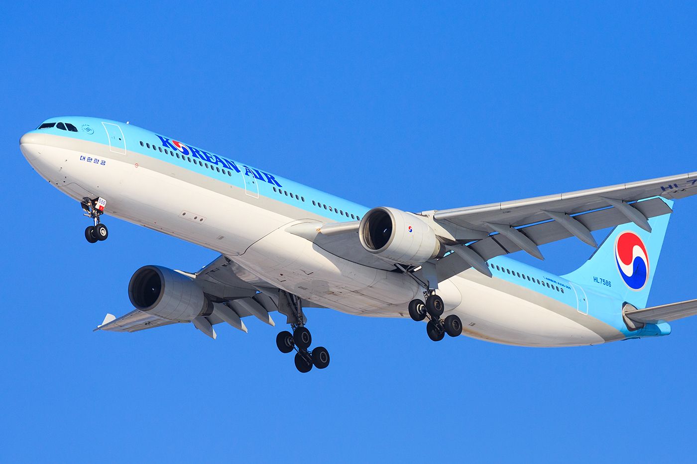 Up To 122 Flights: What Are The World’s Busiest Routes Today?