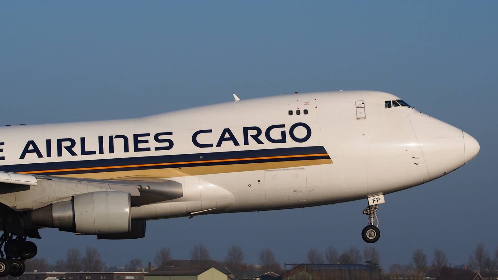 Fur Real: 4 Kittens Found On Singapore Boeing 747 In Hong Kong