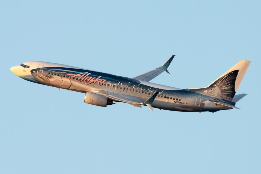 Alaska Airlines, Boeing 737 MAX, Orca Livery