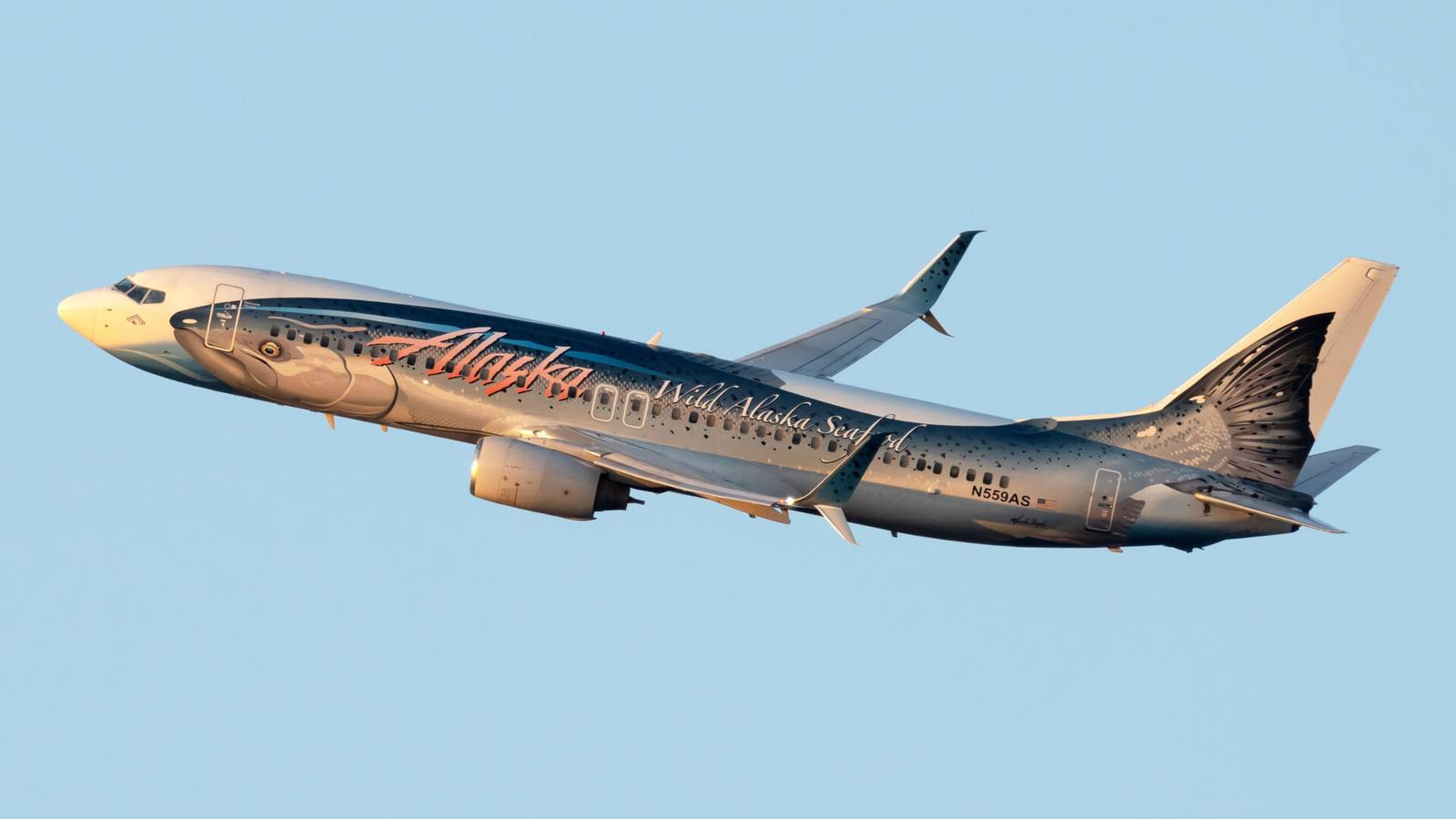 Omicron Forces Alaska Airlines To Cut 10% Of January Flights