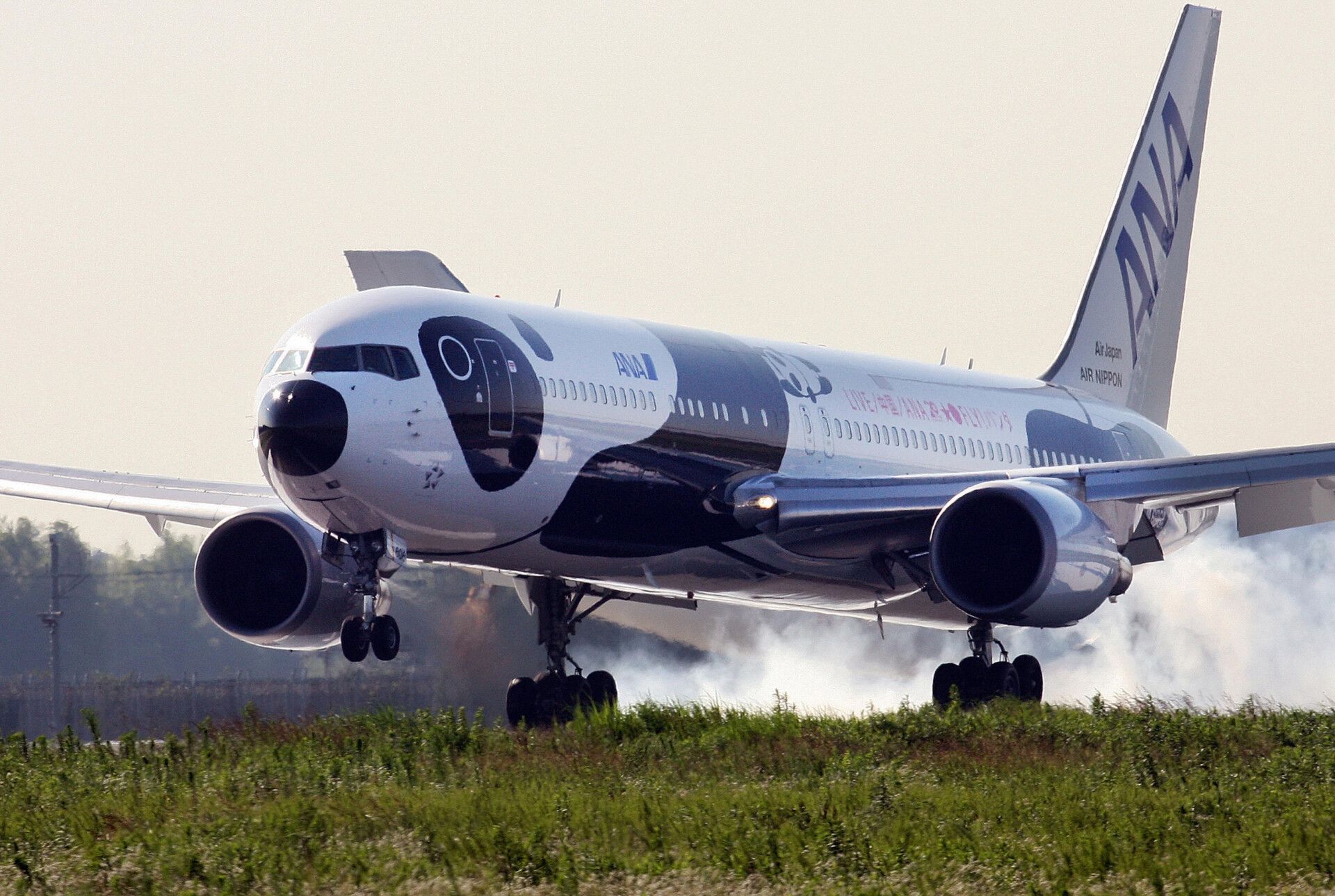 What Happened To All Nippon Airways' Panda Boeing 767?