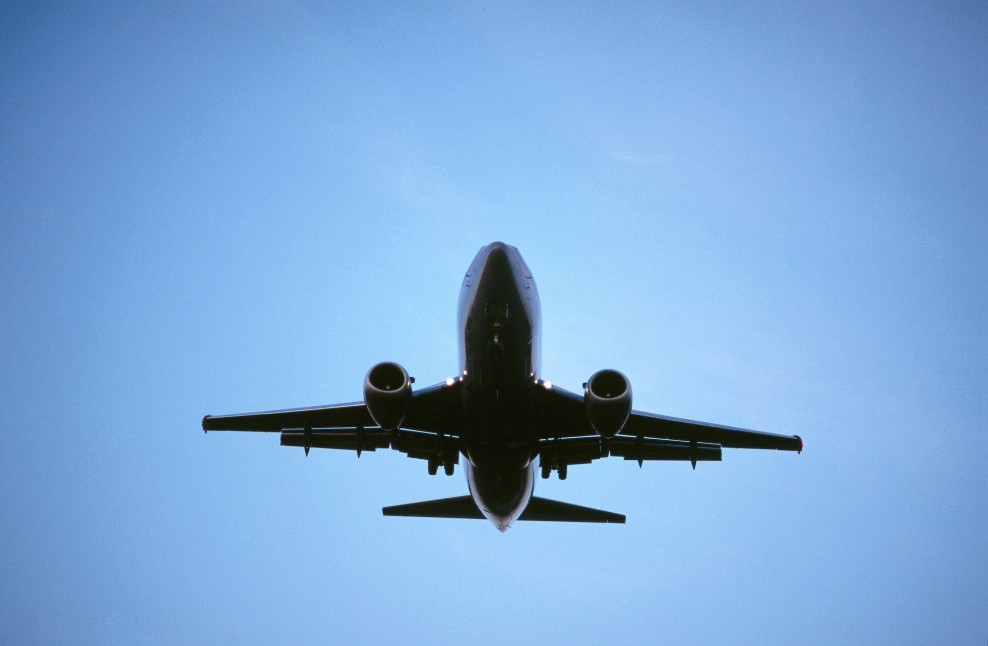 Testing Probed After 100s Of 'Positive' Travelers Arrive In India