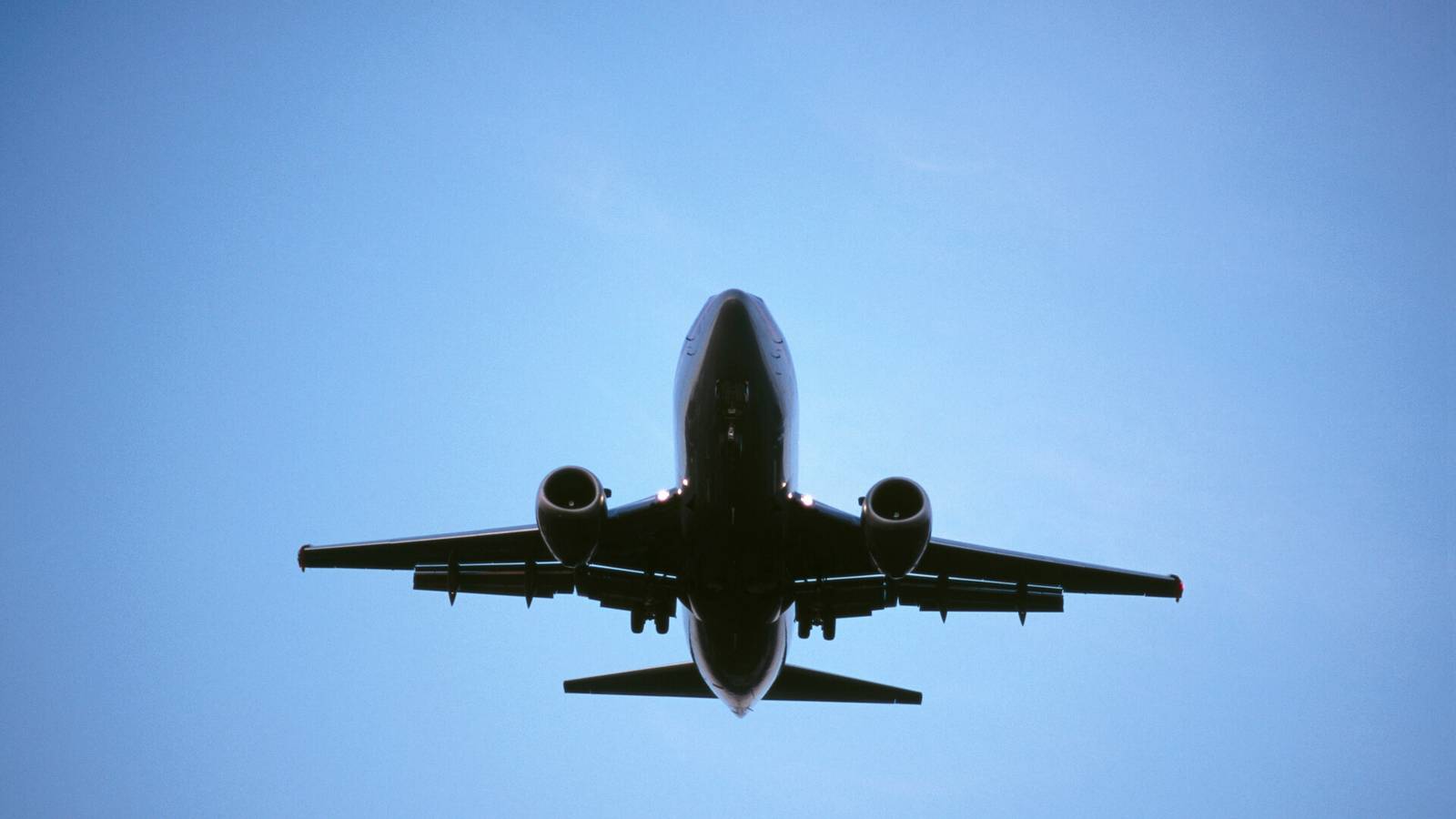 Testing Probed After 100s Of 'Positive' Travelers Arrive In India