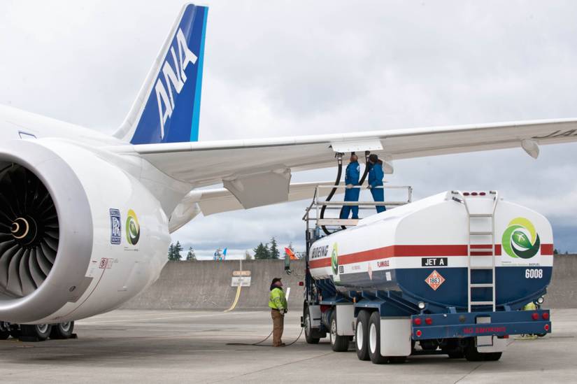�������� ��������� ANA 787 �� Boeing FlightlineK65630