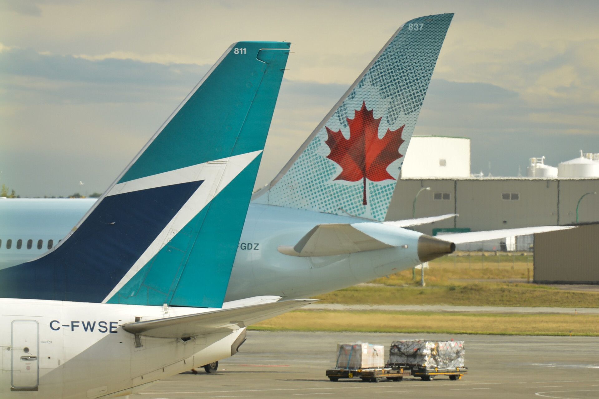 Air Canada And WestJet Doctors Urge Government To Drop Arrival Tests