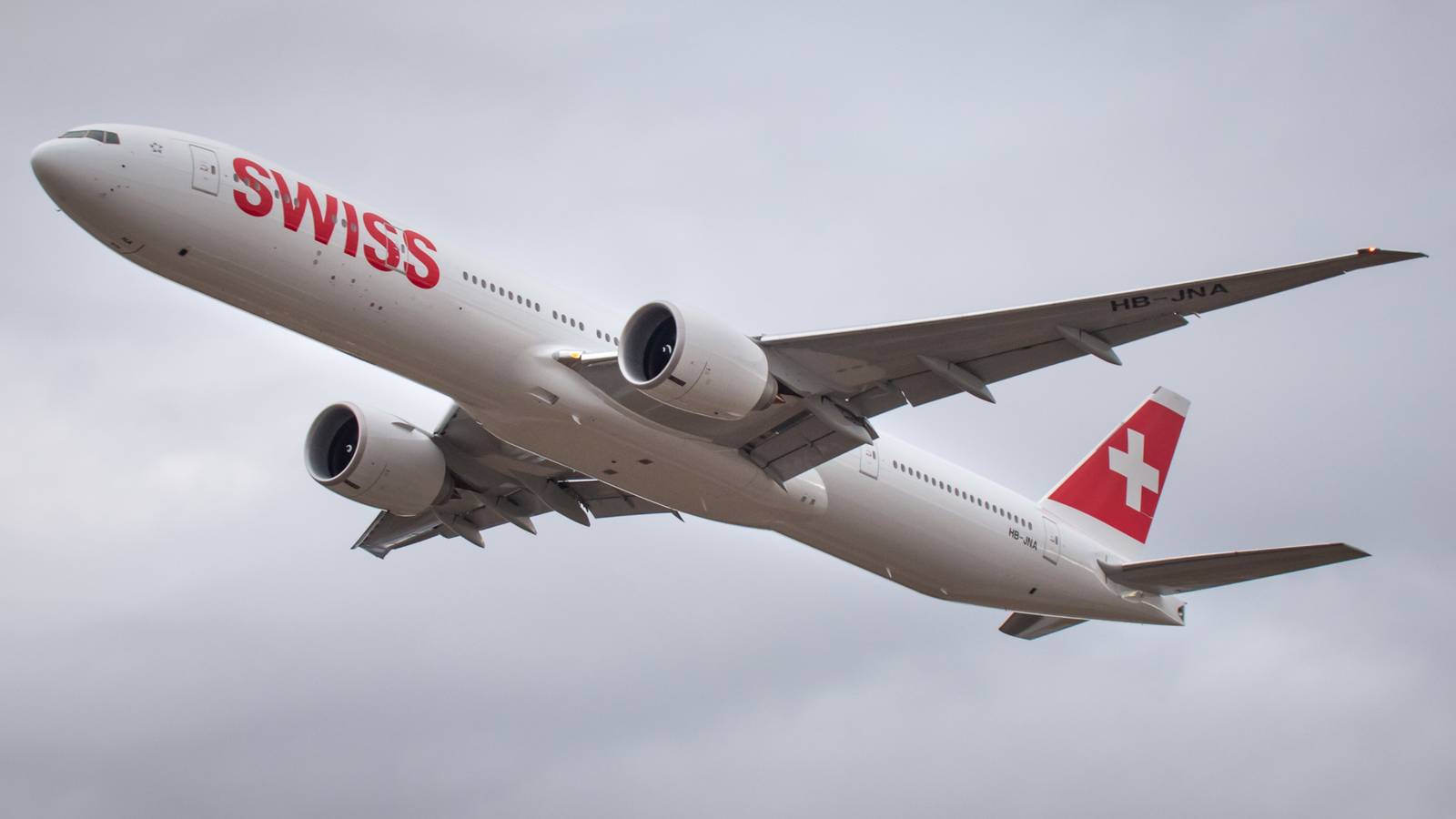 How Sharks Are Helping SWISS Cut Emissions