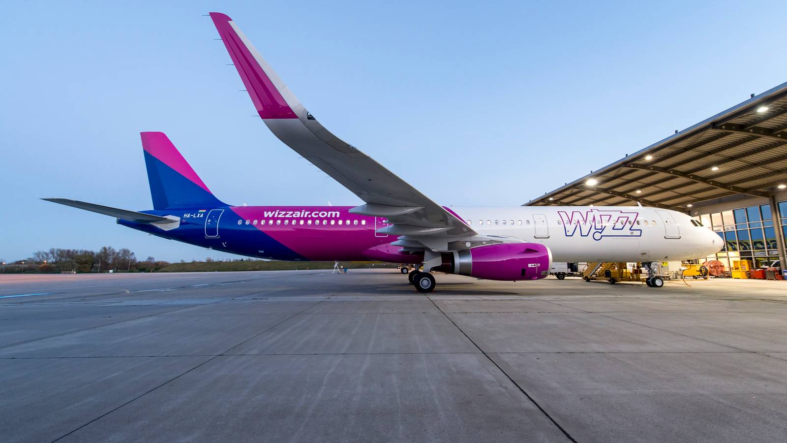 US Pilots Take Aim At Wizz Air's Cargo And Charter Plans