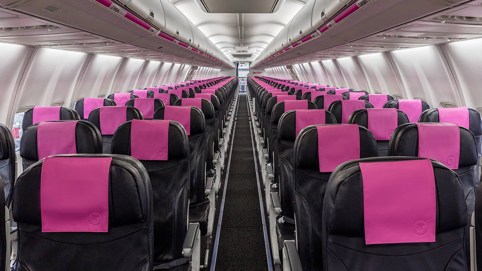 Ultra Low-Cost Carriers: Who Are They & What Sets Them Apart?
