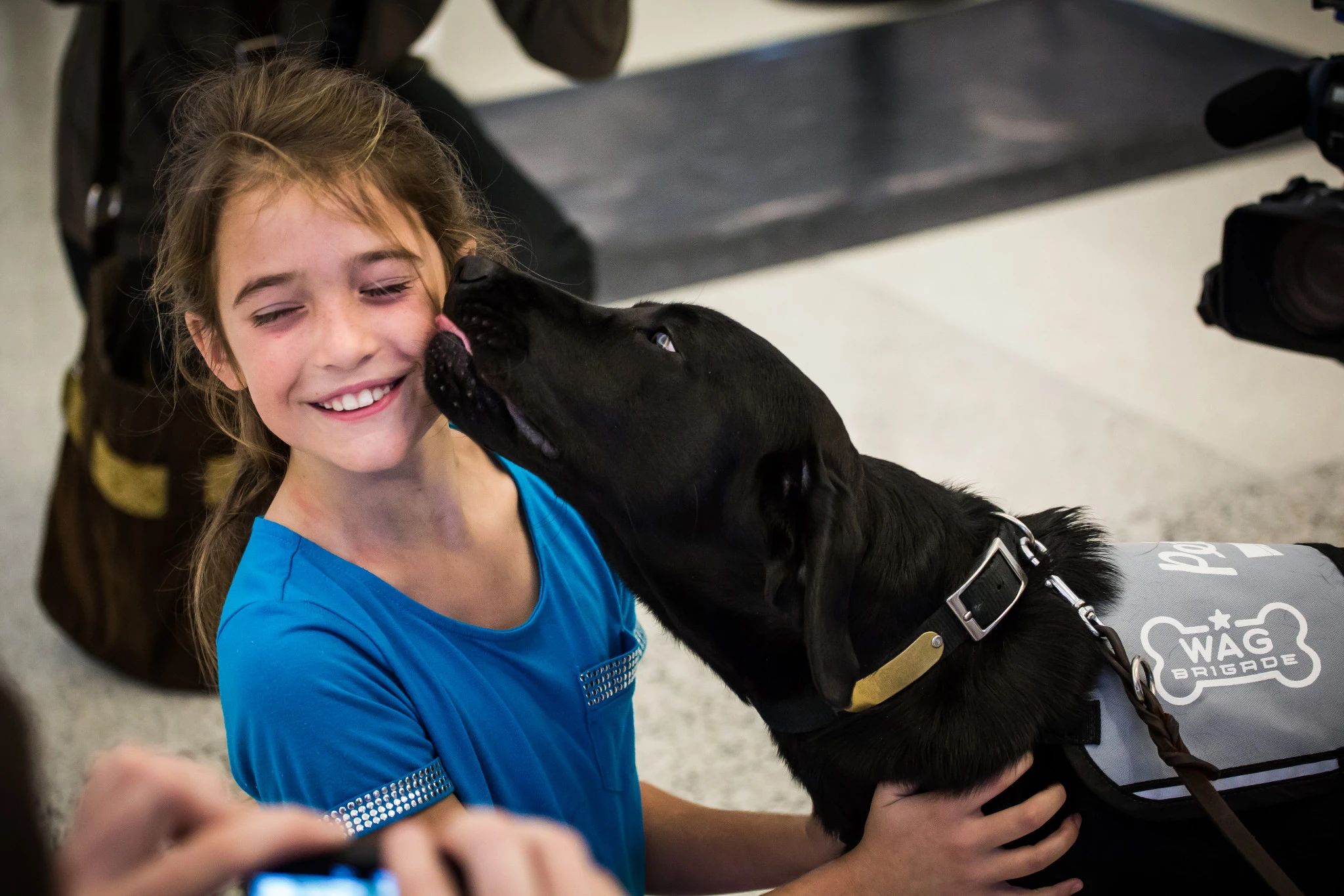 Why San Francisco Airport Has Hired A 28 Pound Giant Rabbit