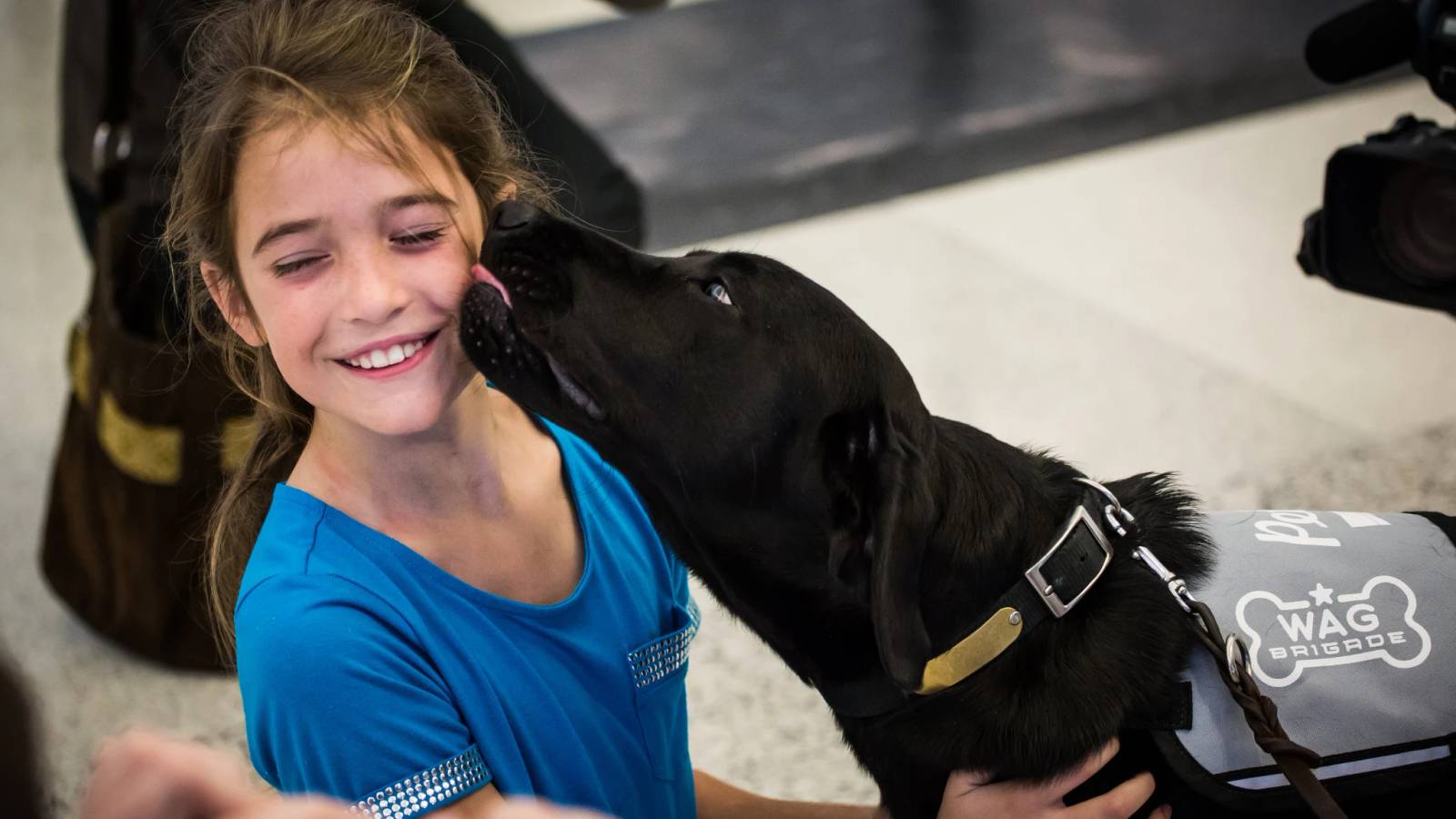 Why San Francisco Airport Has Hired A 28 Pound Giant Rabbit