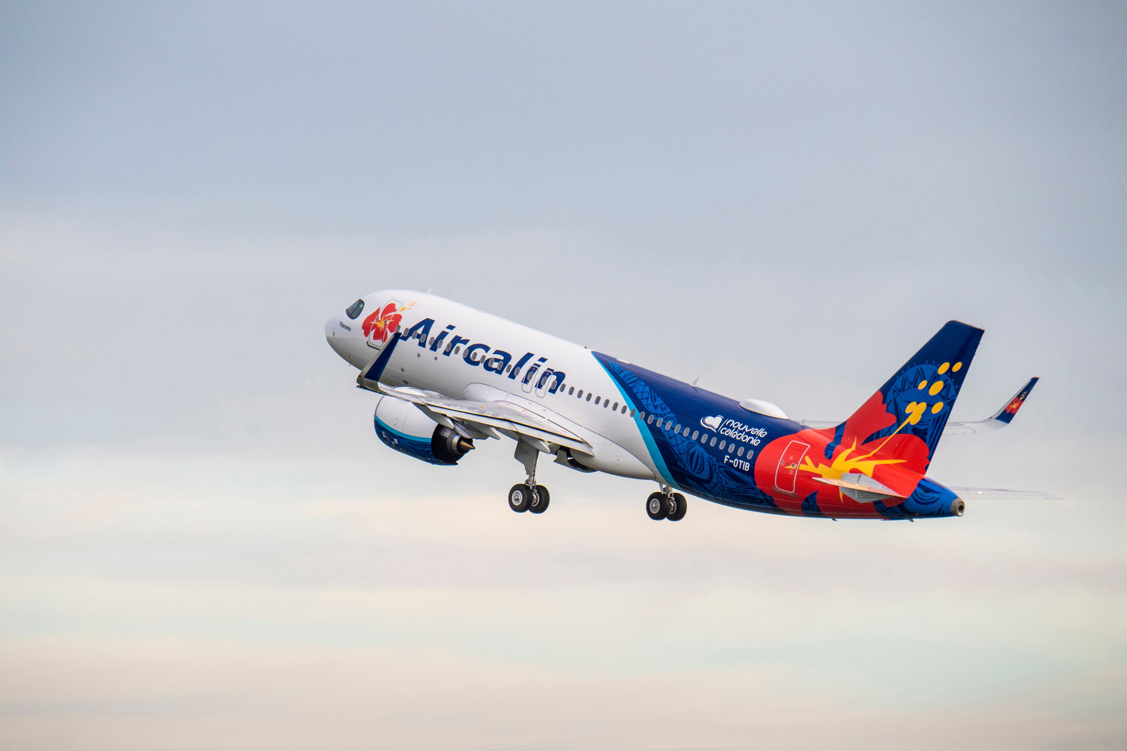 Aircalin Gets Back To Business With Auckland Flights From May