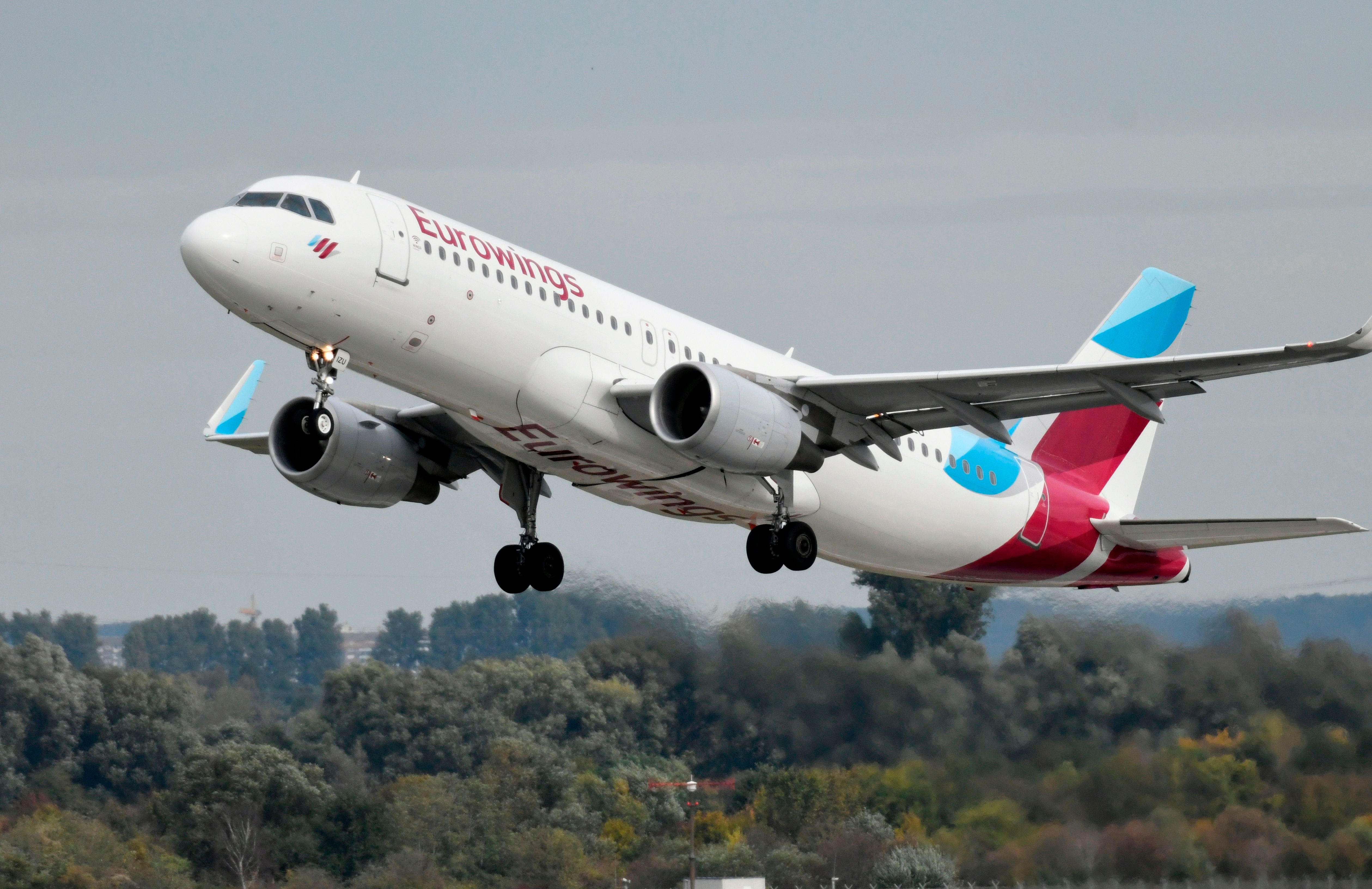 Eurowings Plants 6,000 Trees With The Help Of Cologne Bonn Airport