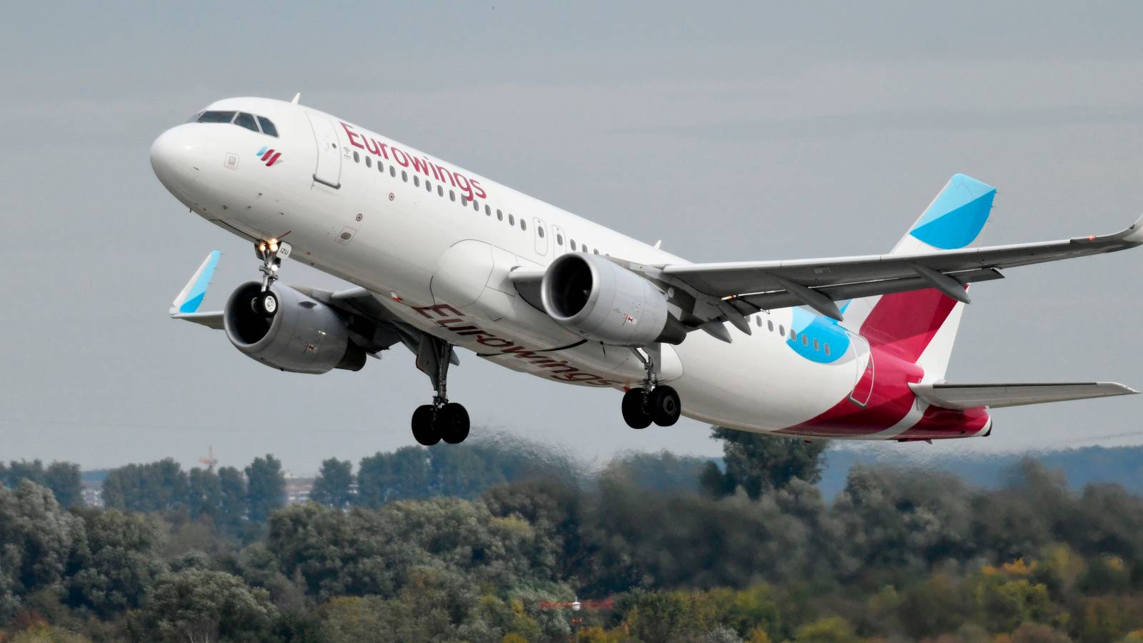 Eurowings Plants 6,000 Trees With The Help Of Cologne Bonn Airport