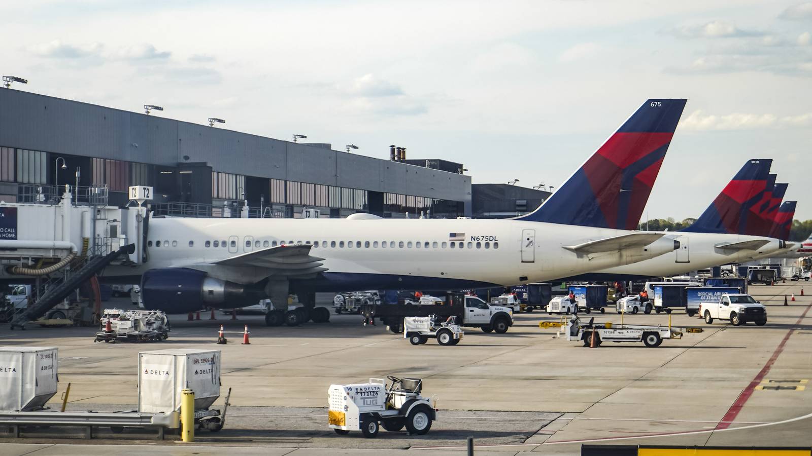 Millions Of Bees Die Waiting For Connecting Flight In Atlanta