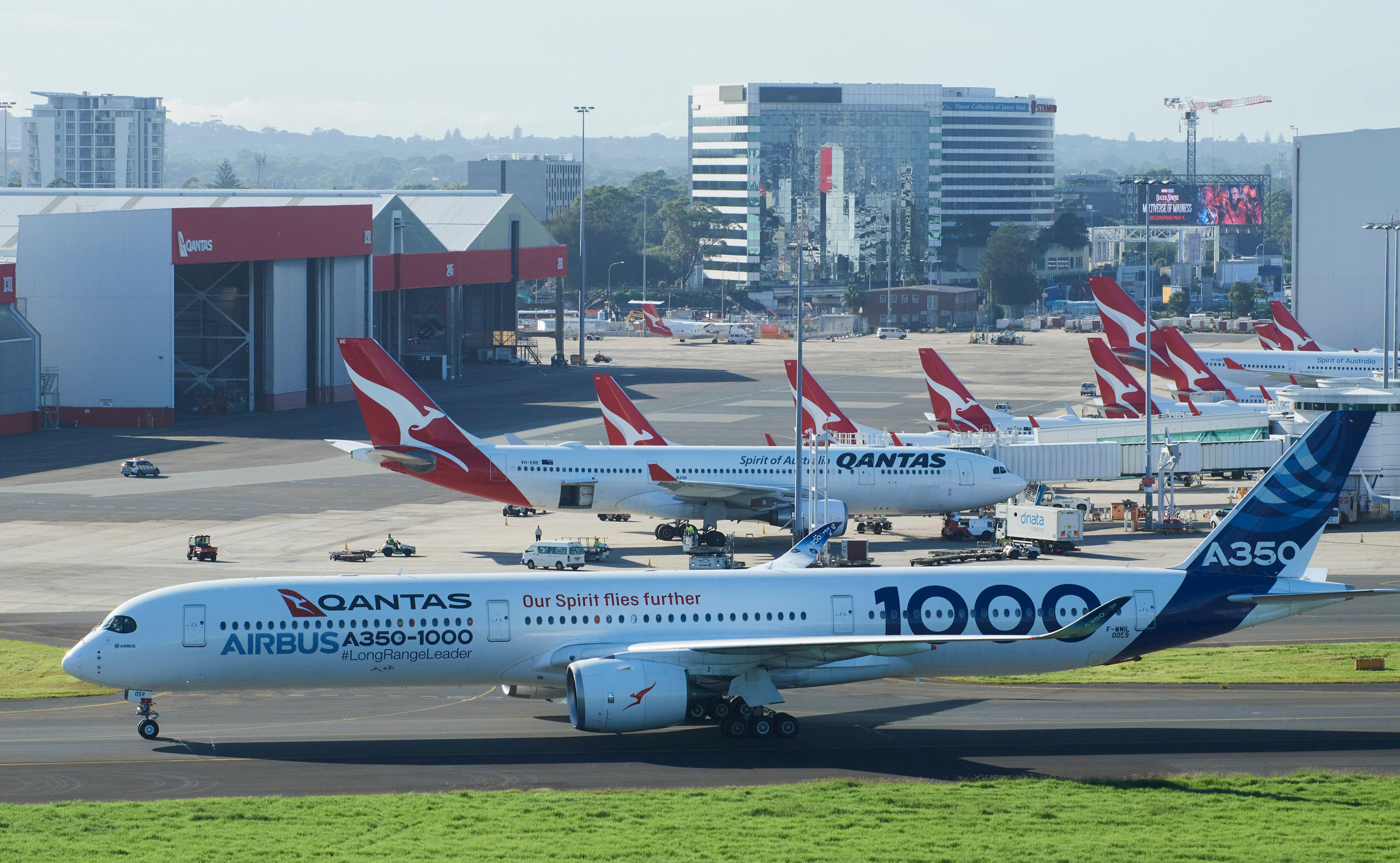 Sydney Airport Supporting Guide Dogs For Vision-Impaired Travelers